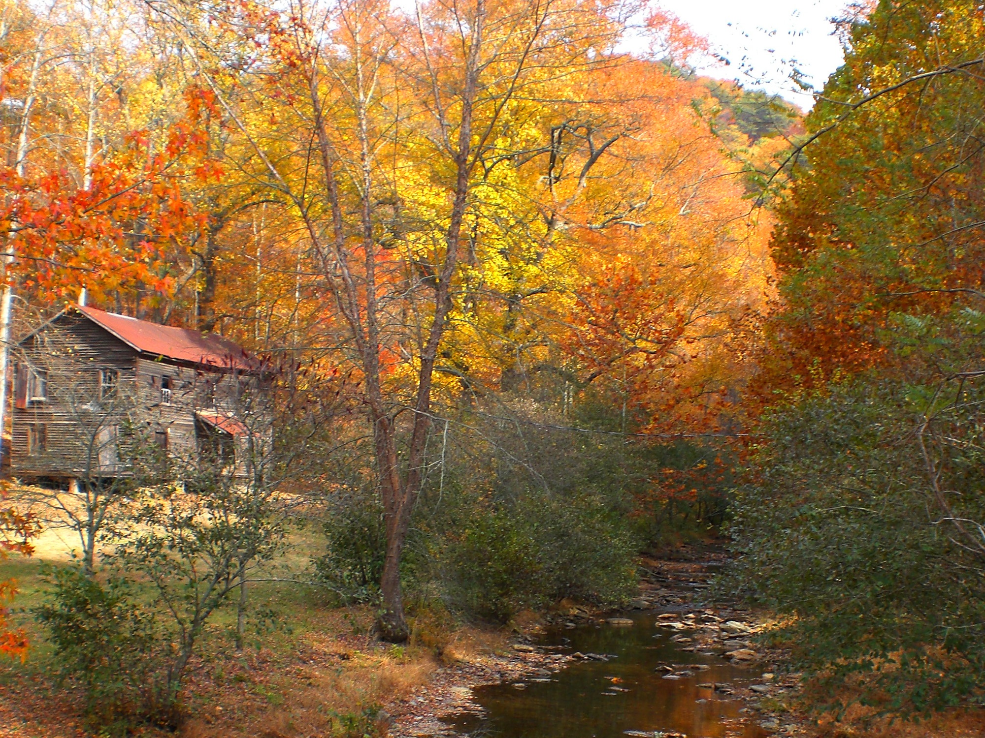 North Georgia Cabin Rentals