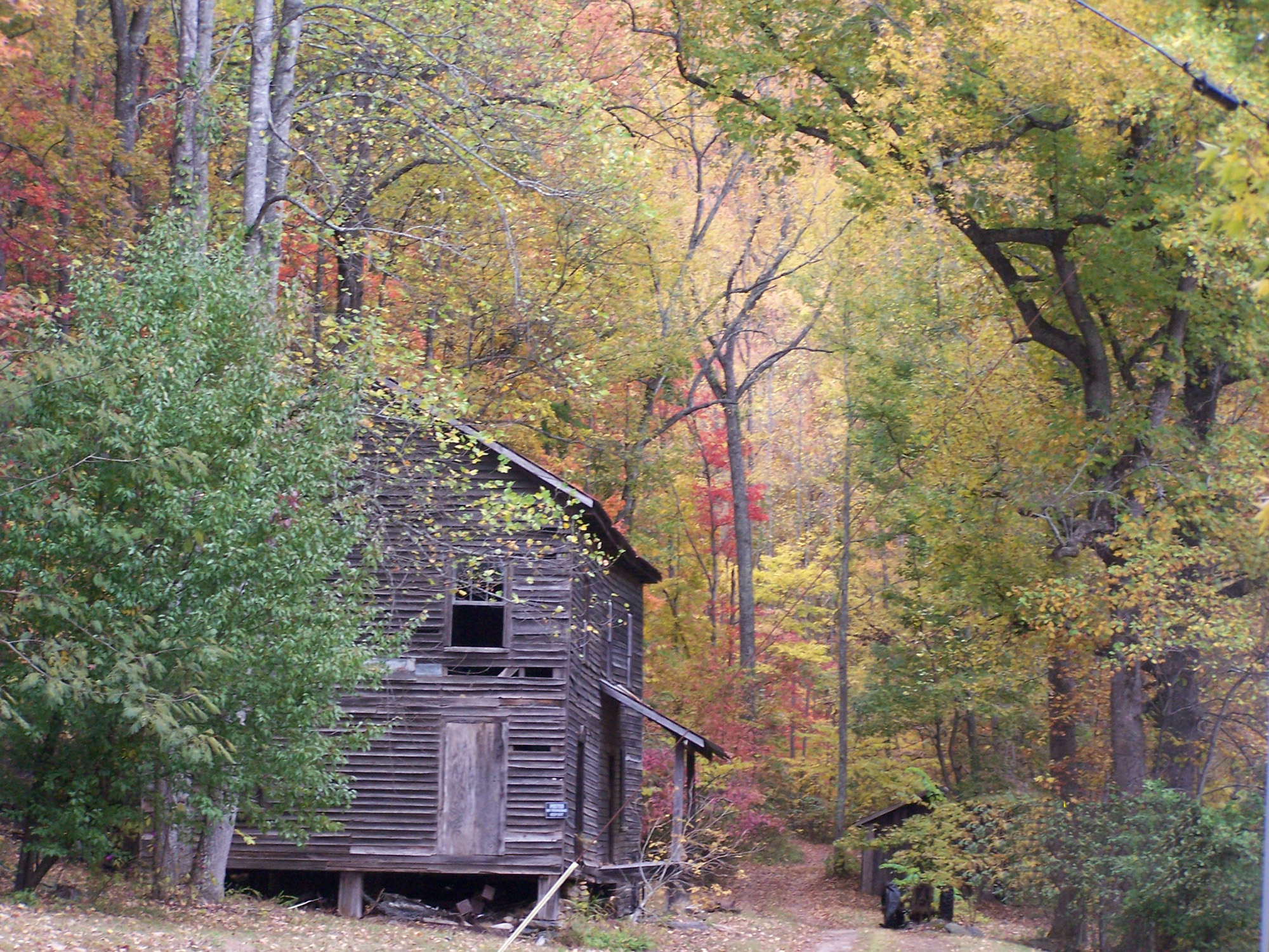 North Georgia Cabin Rentals