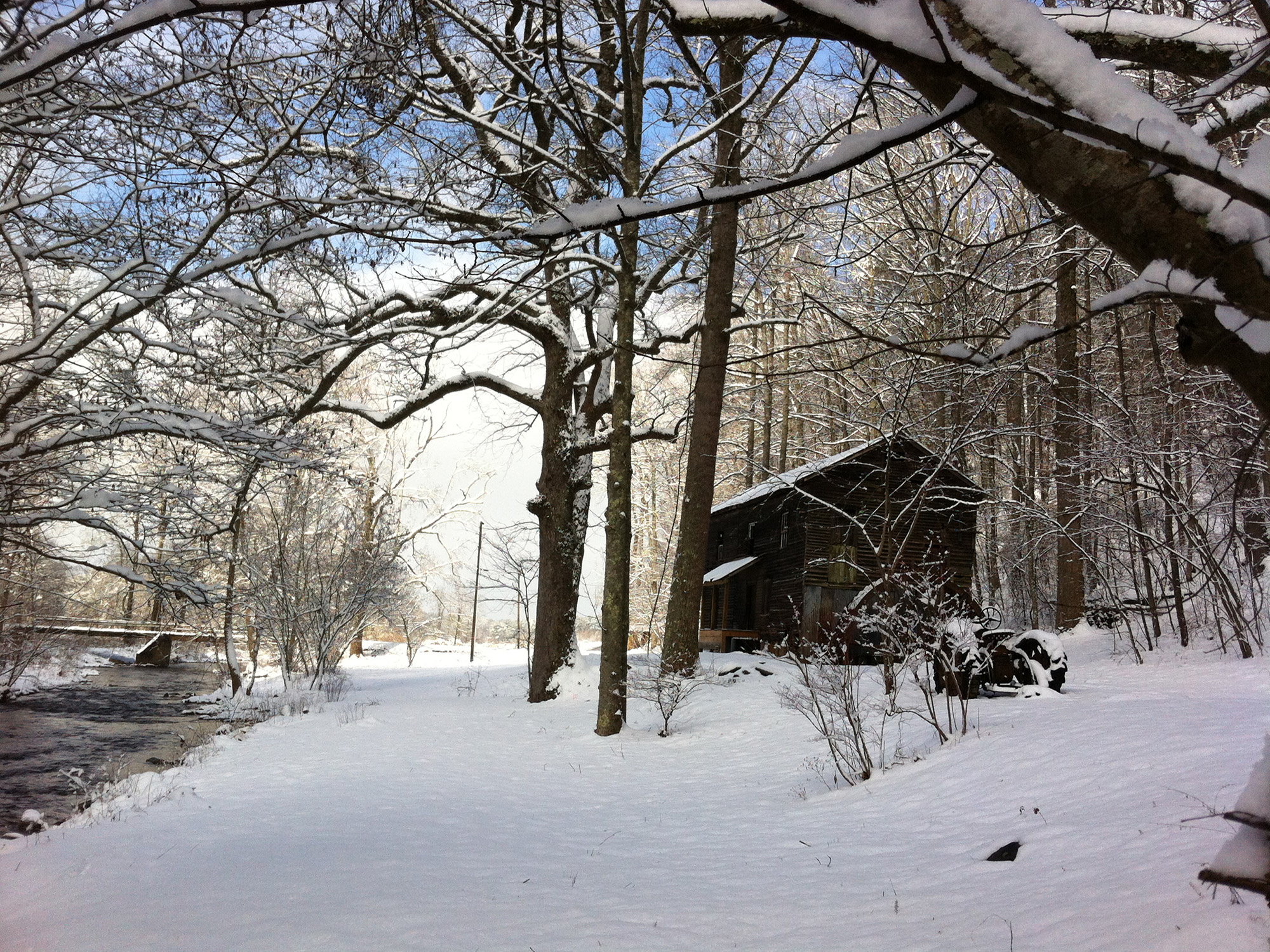 North Georgia Cabin Rentals