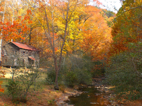 Glorious Fall